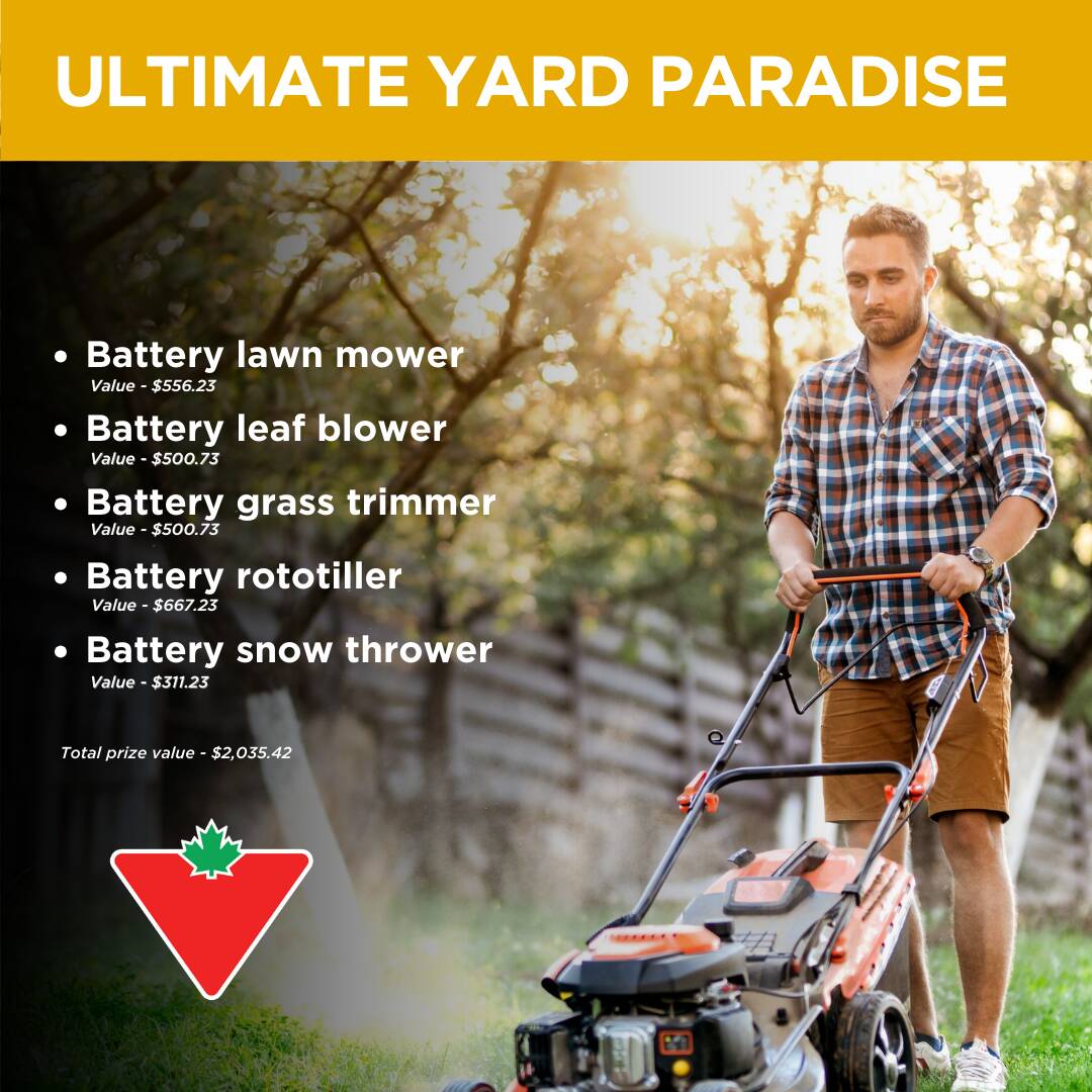 Ultimate Yard Paradise